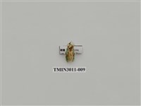 藏品(夜蛾620)的圖片